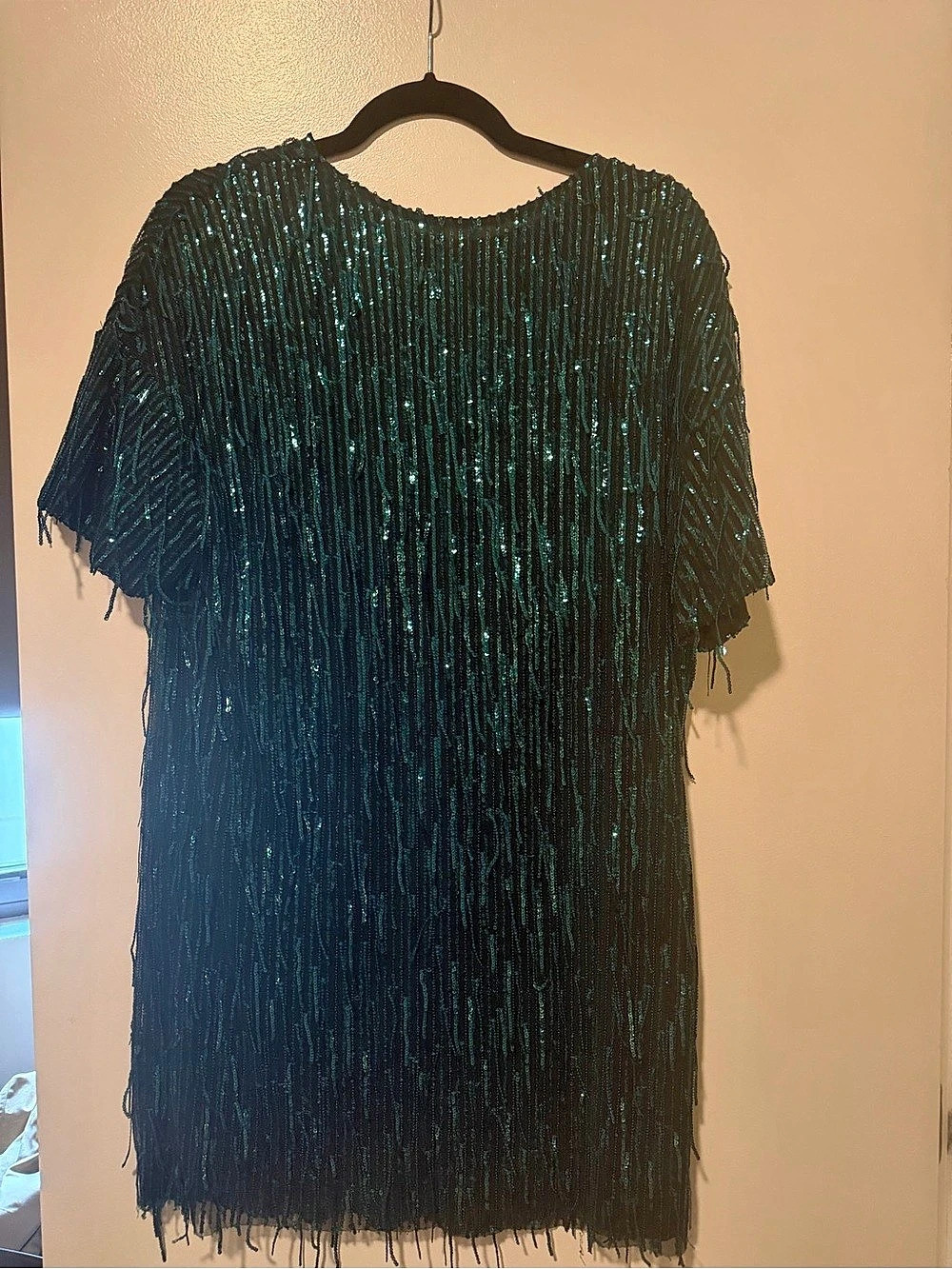 Zara Emerald Green Sequin Fringe Mini Dress